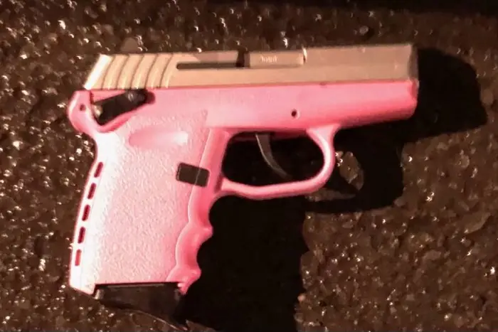 A photo of the suspect's gun.